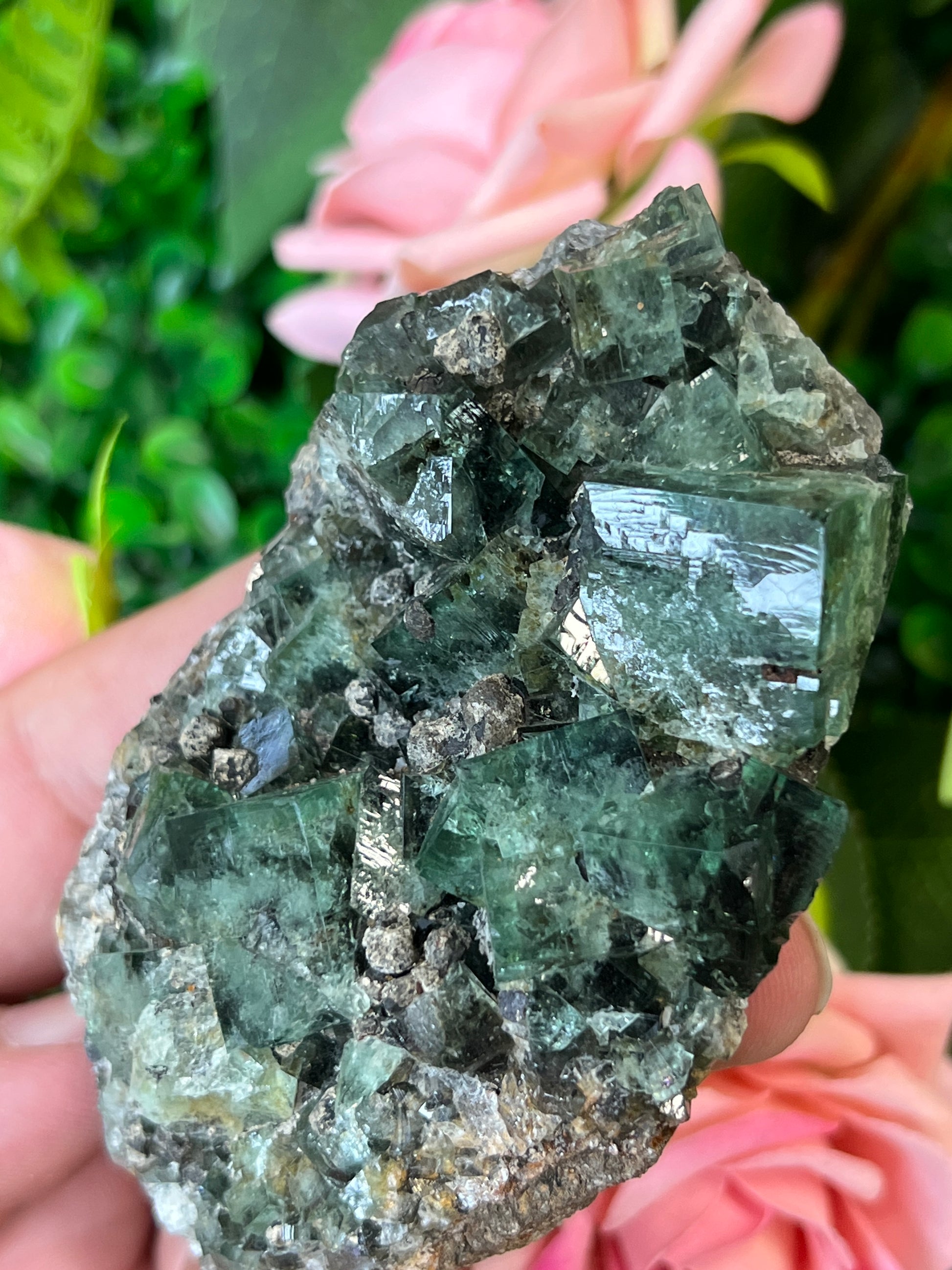 Fluorite (Color Change) w/ Galena