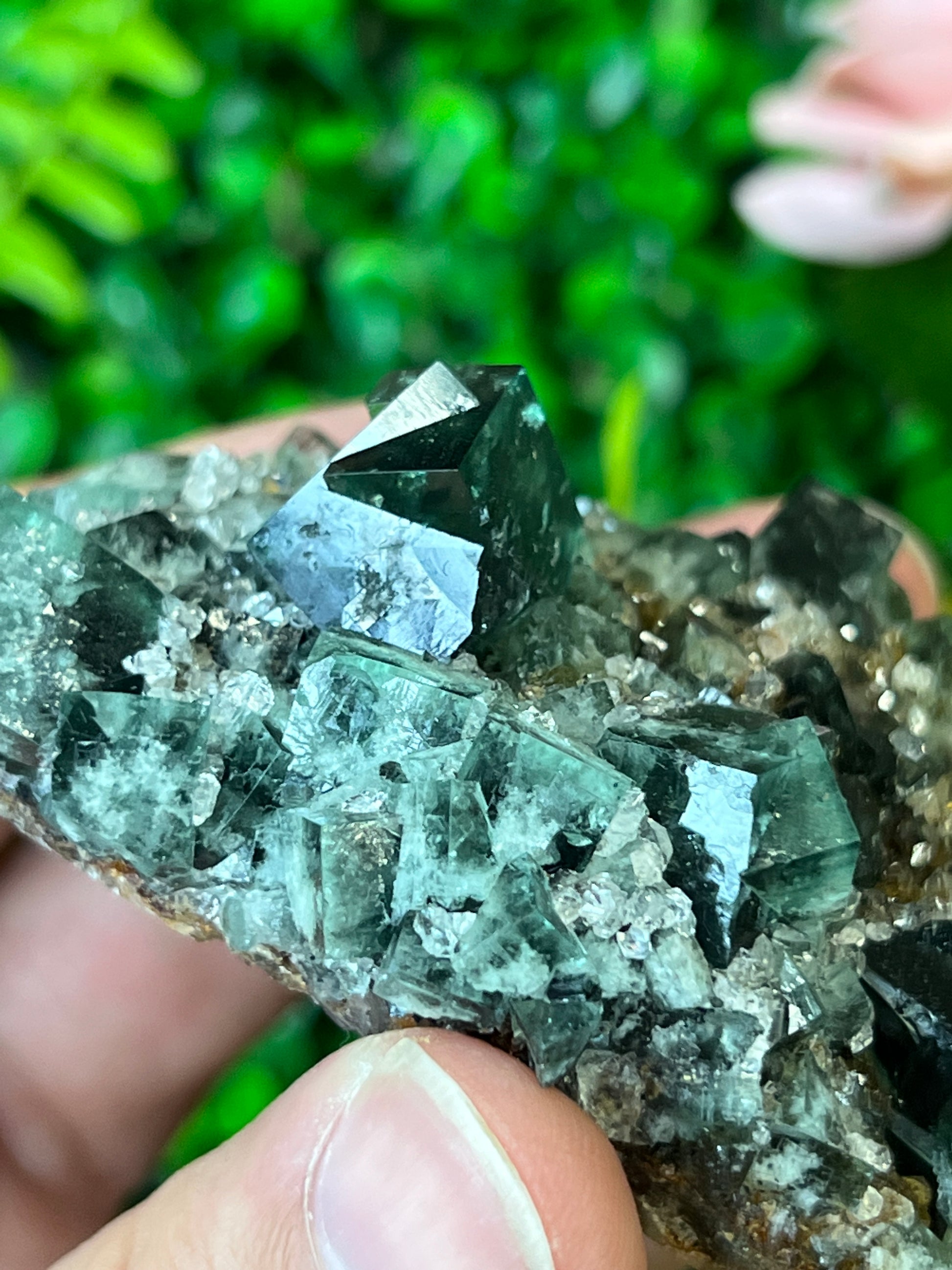 Fluorite (Color Change) w/ Quartz