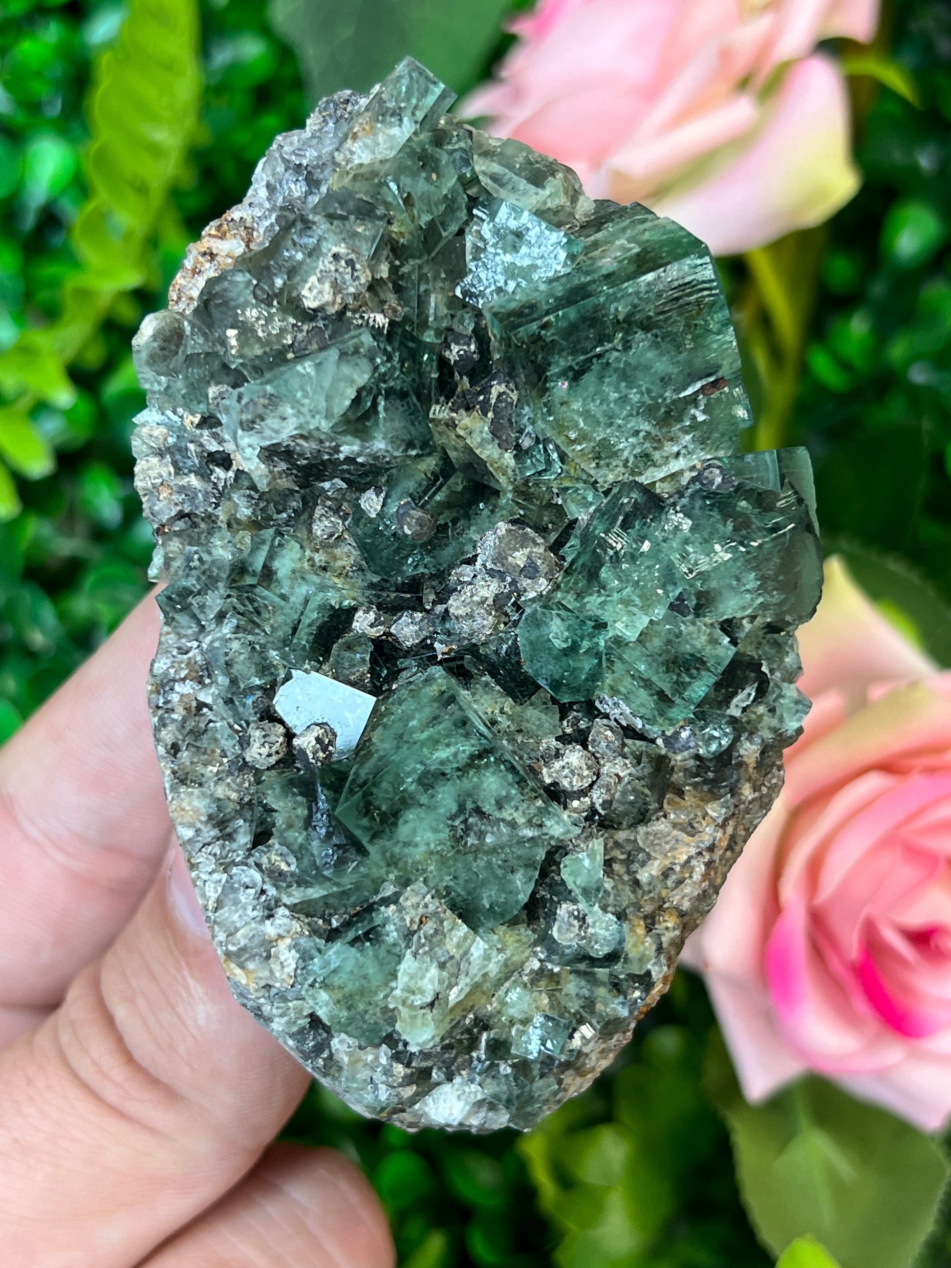 Fluorite (Color Change) w/ Galena