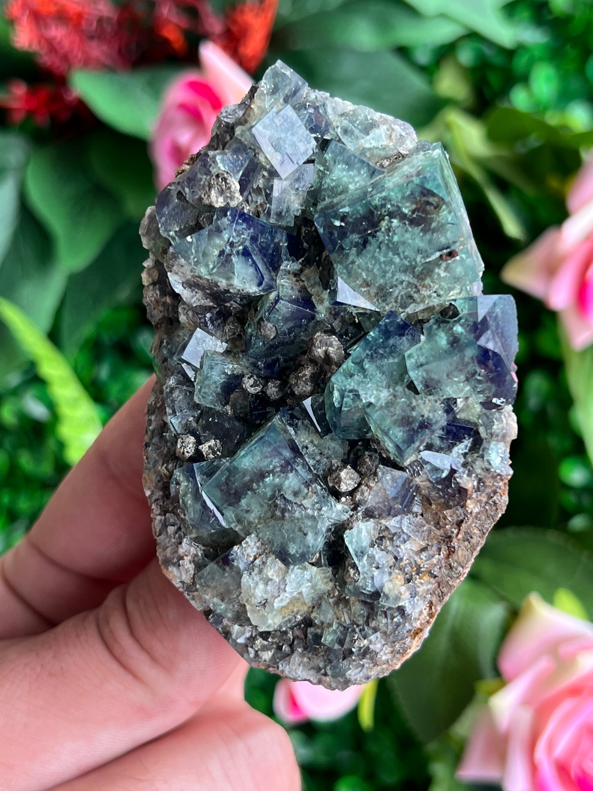 Fluorite (Color Change) w/ Galena