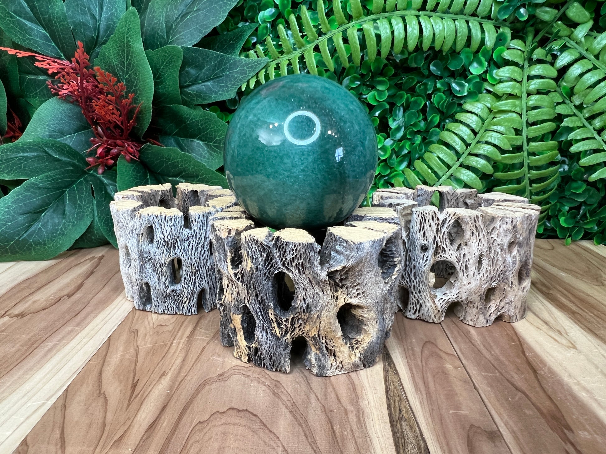 Cholla Sphere Stands