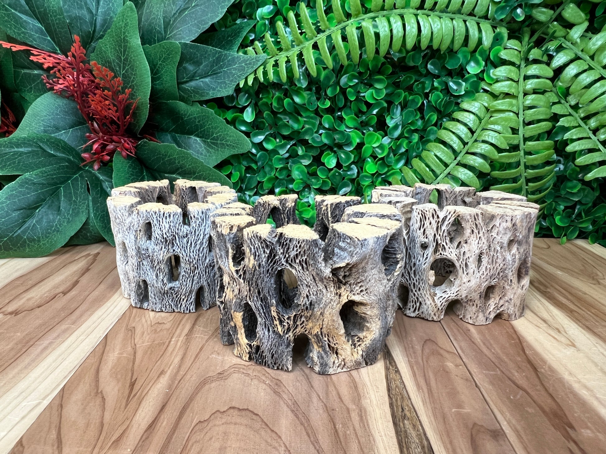 Cholla Sphere Stands