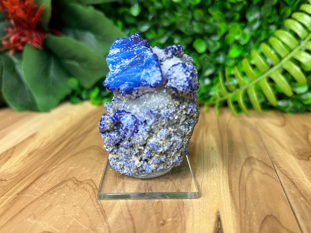 Lazurite, Pyrite on Calcite