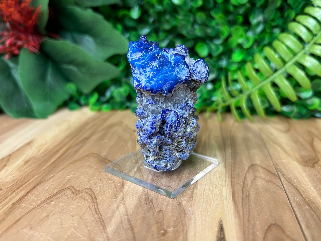 Lazurite, Pyrite on Calcite