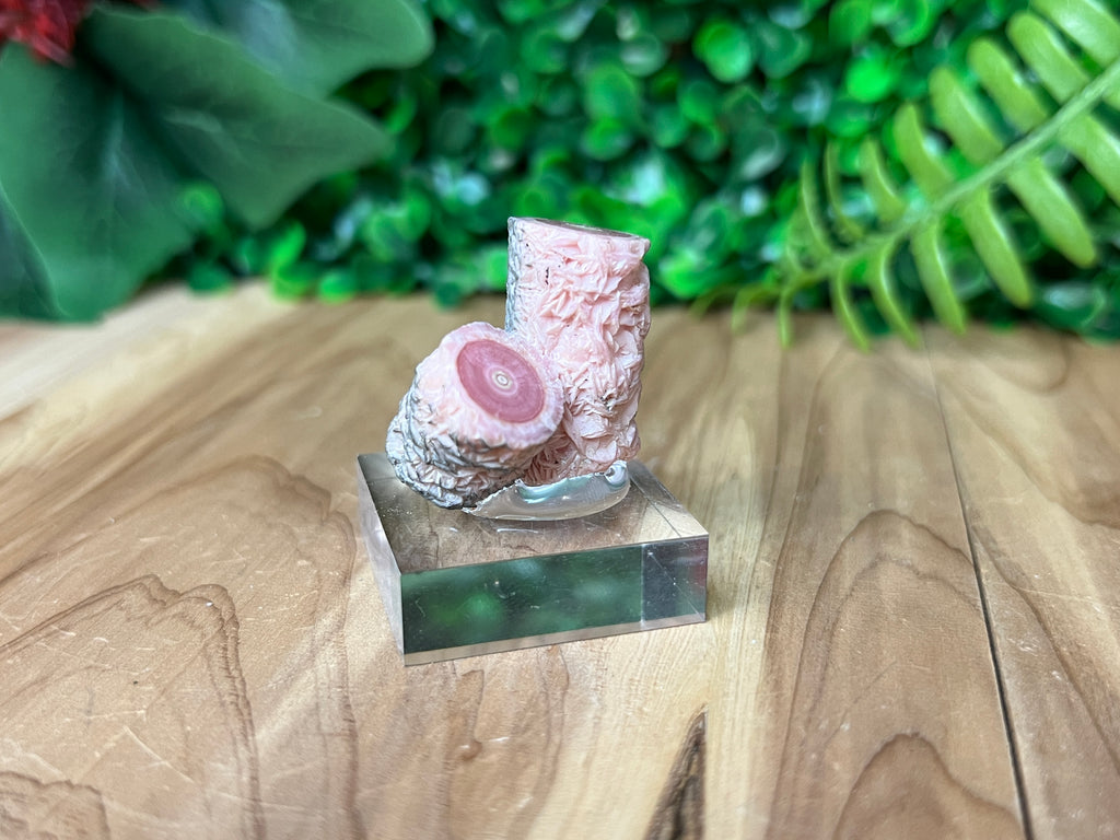 Rhodochrosite Stalactite Twin