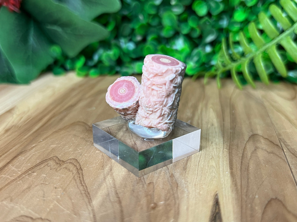 Rhodochrosite Stalactite Twin