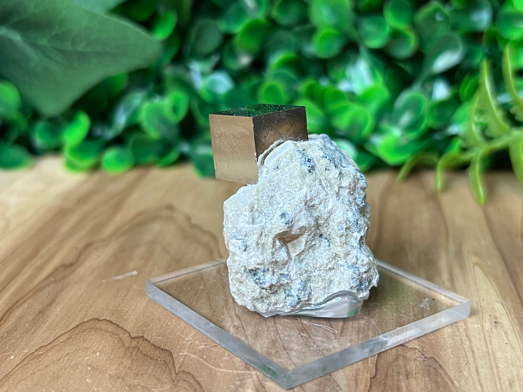 Pyrite Cube on Matrix