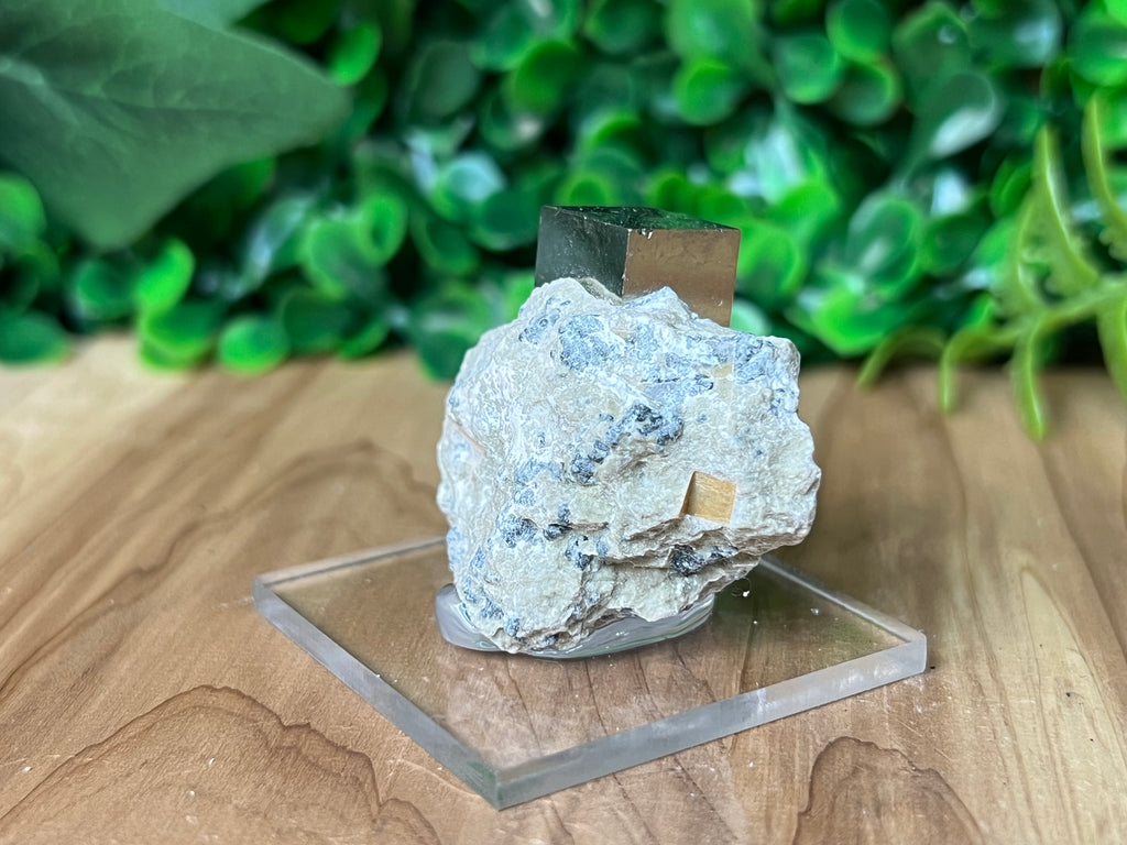 Pyrite Cube on Matrix