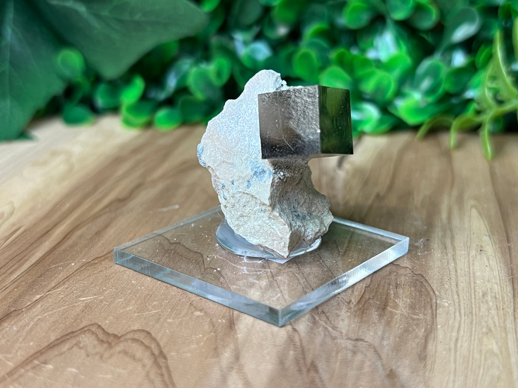 Pyrite Cube on Matrix