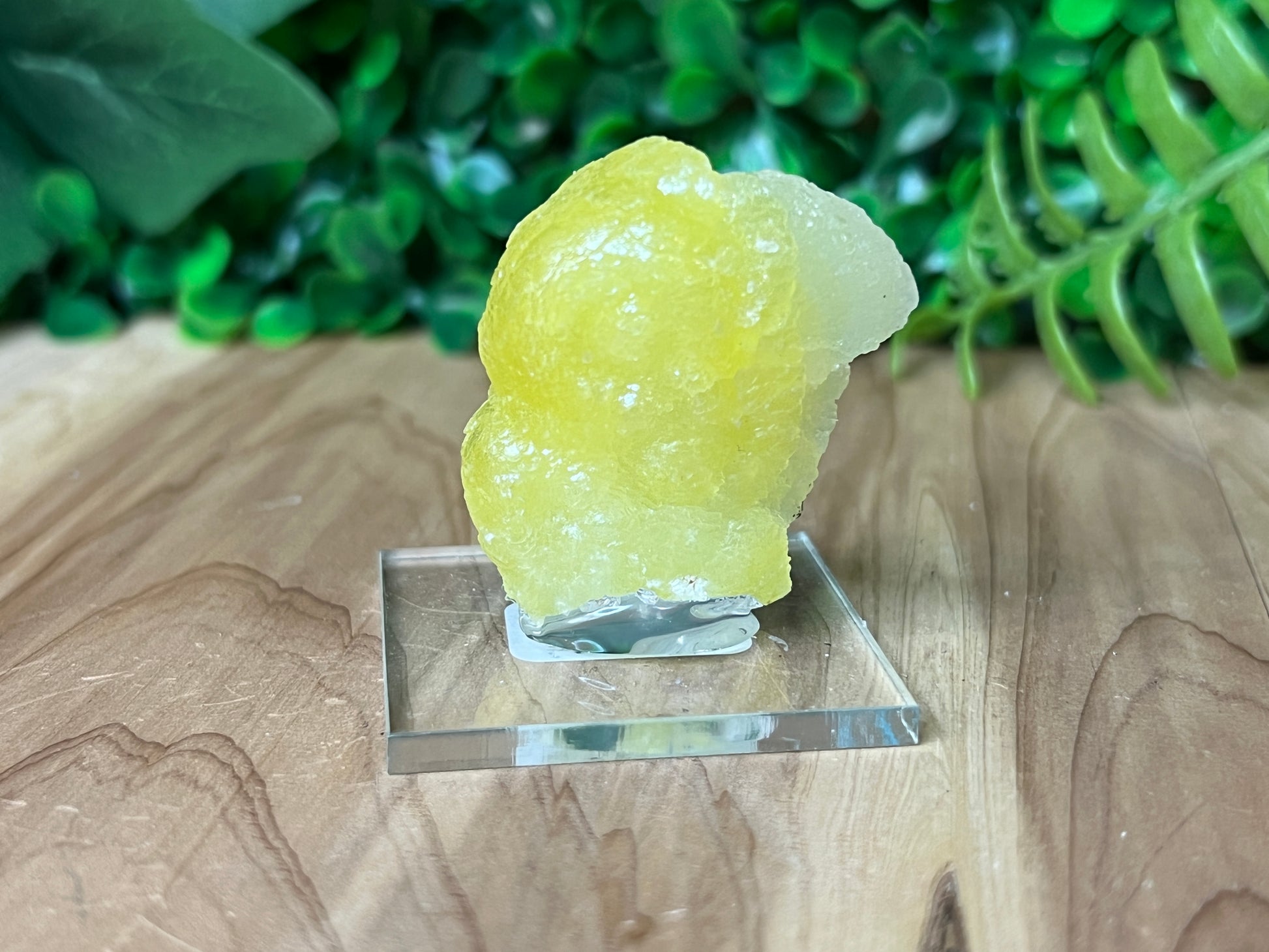 Brucite 'Bird'