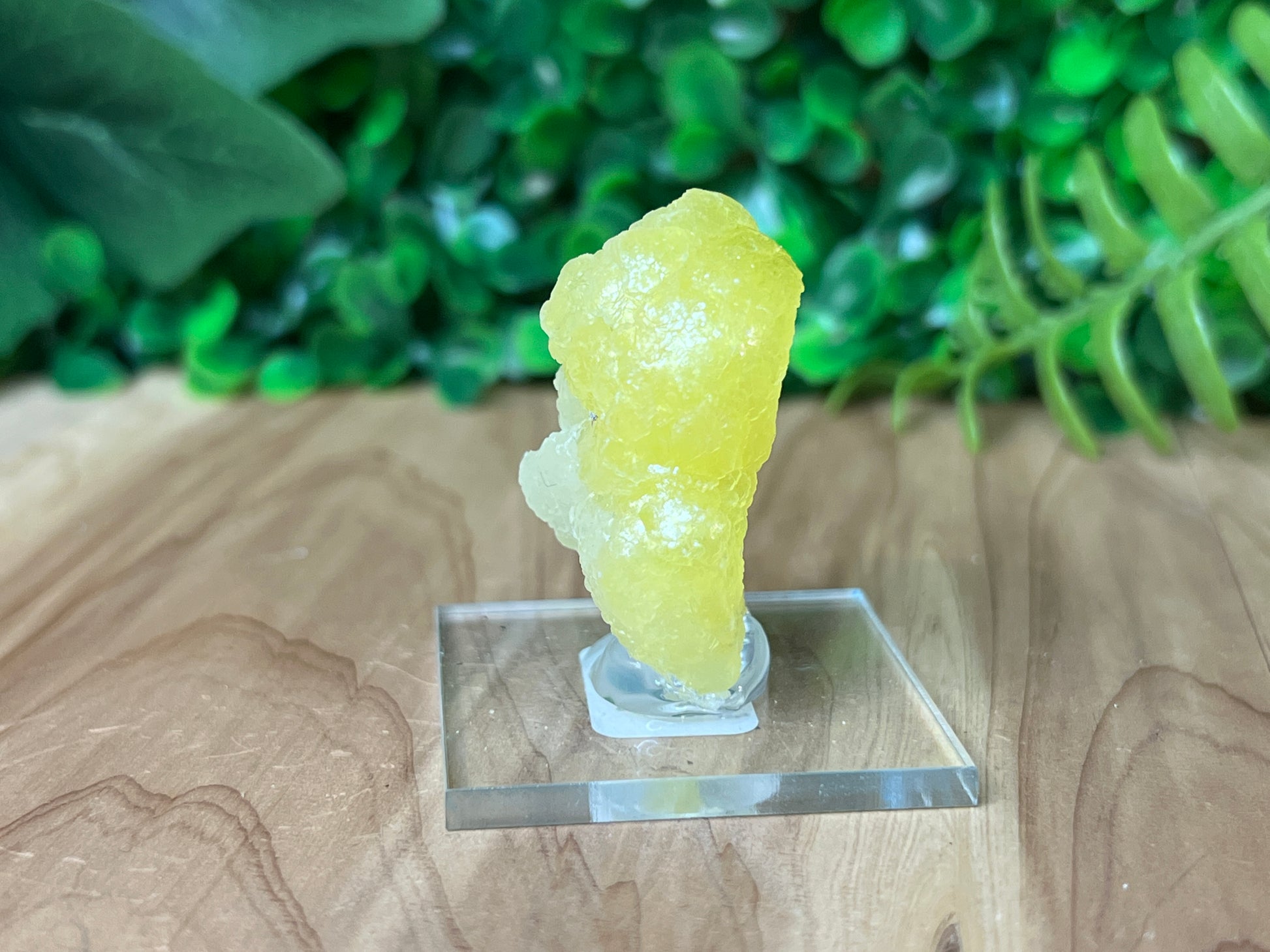 Brucite 'Bird'