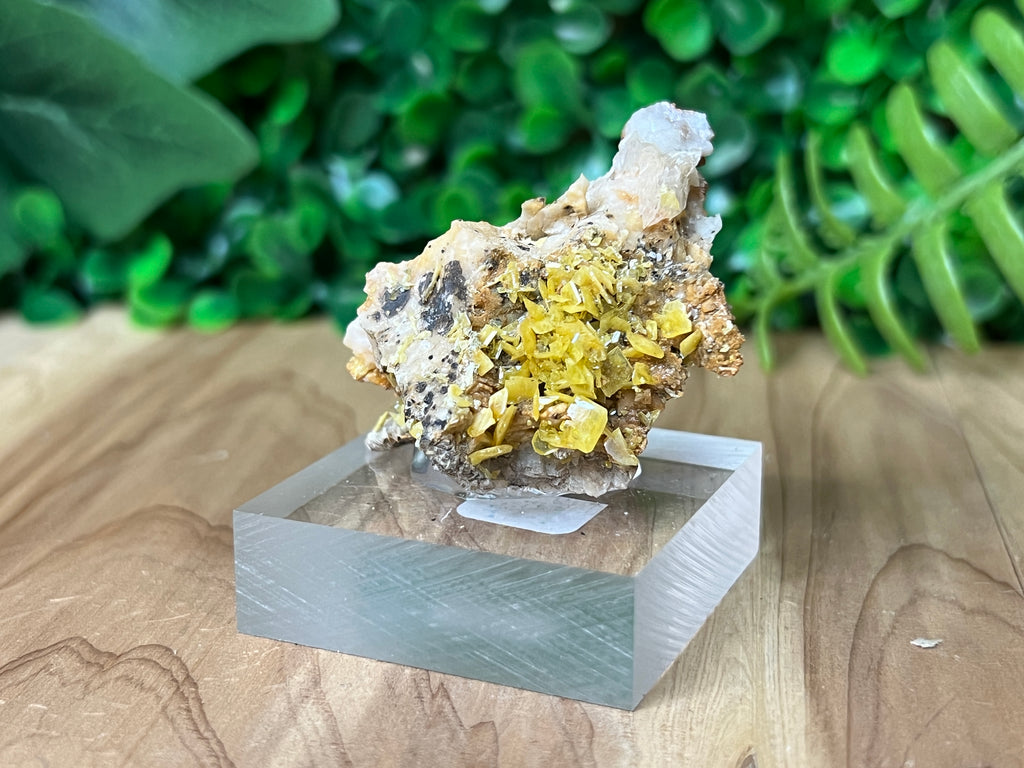 Wulfenite
