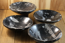 Load image into Gallery viewer, Orthoceras Fossil Bowls
