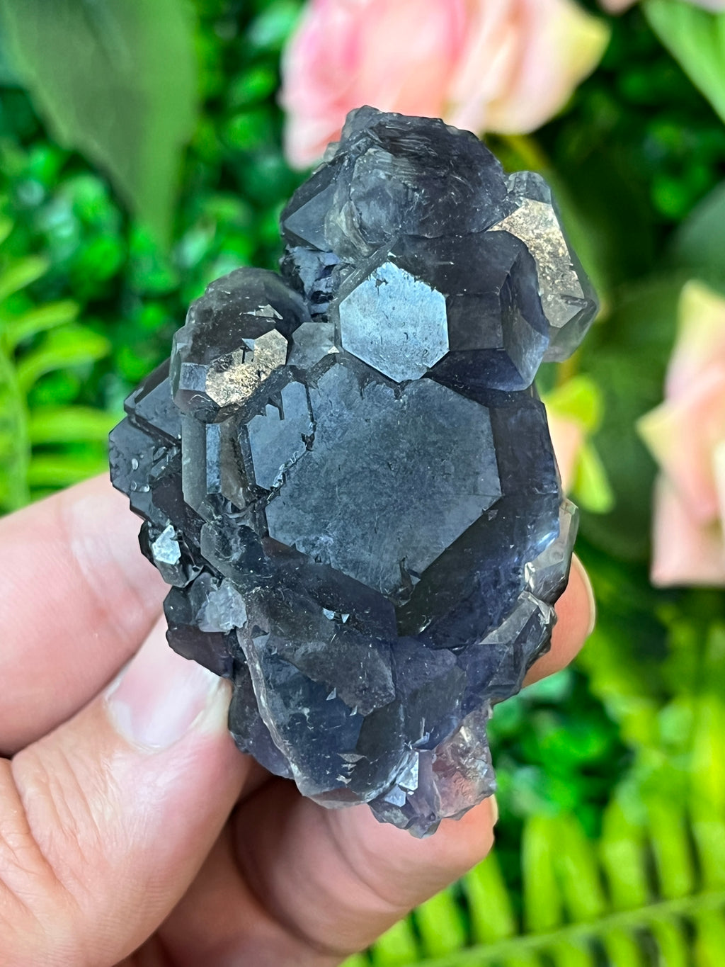 “Tanzanite” Fluorite