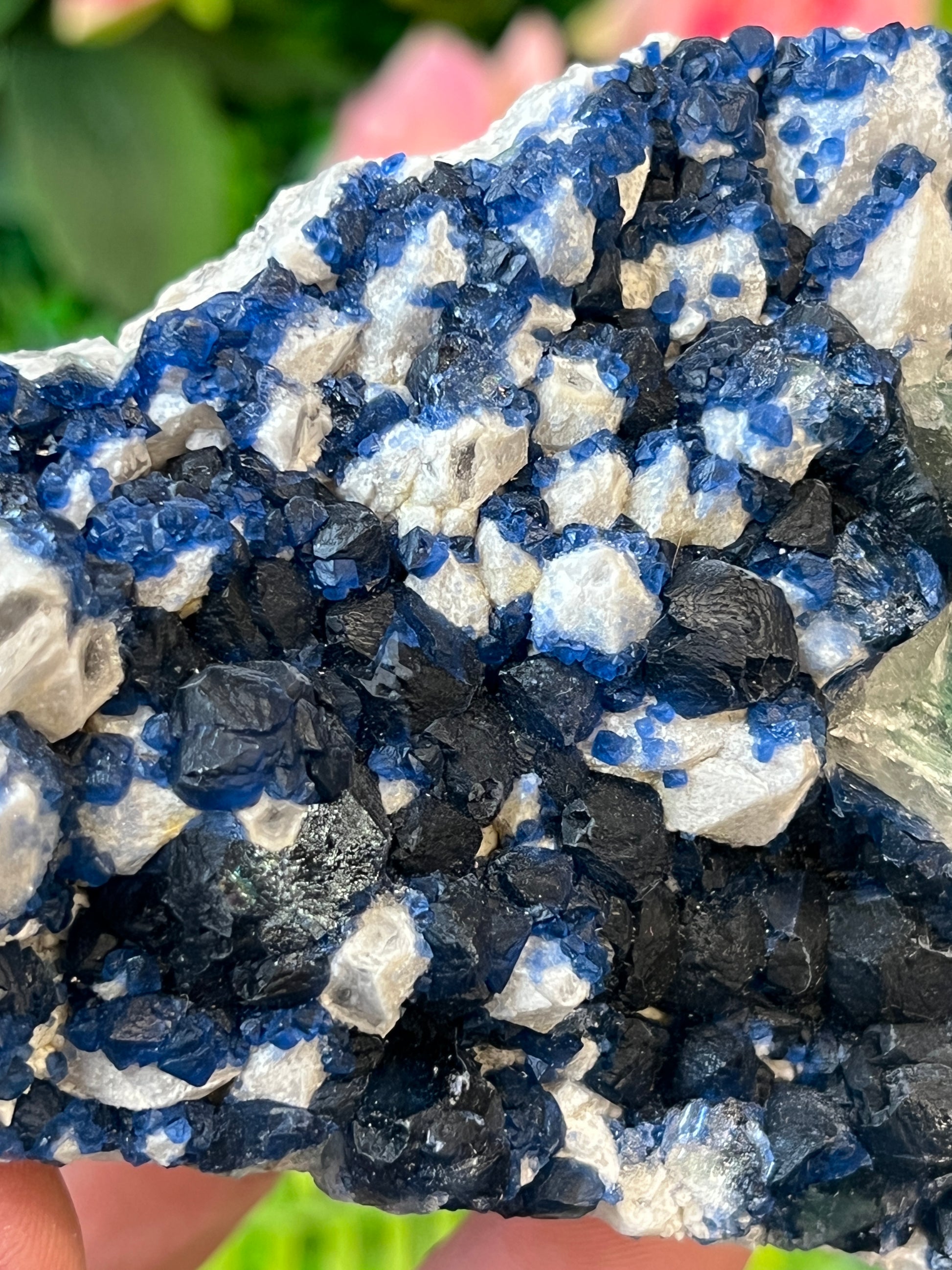 “Blueberry” Fluorite on Quartz