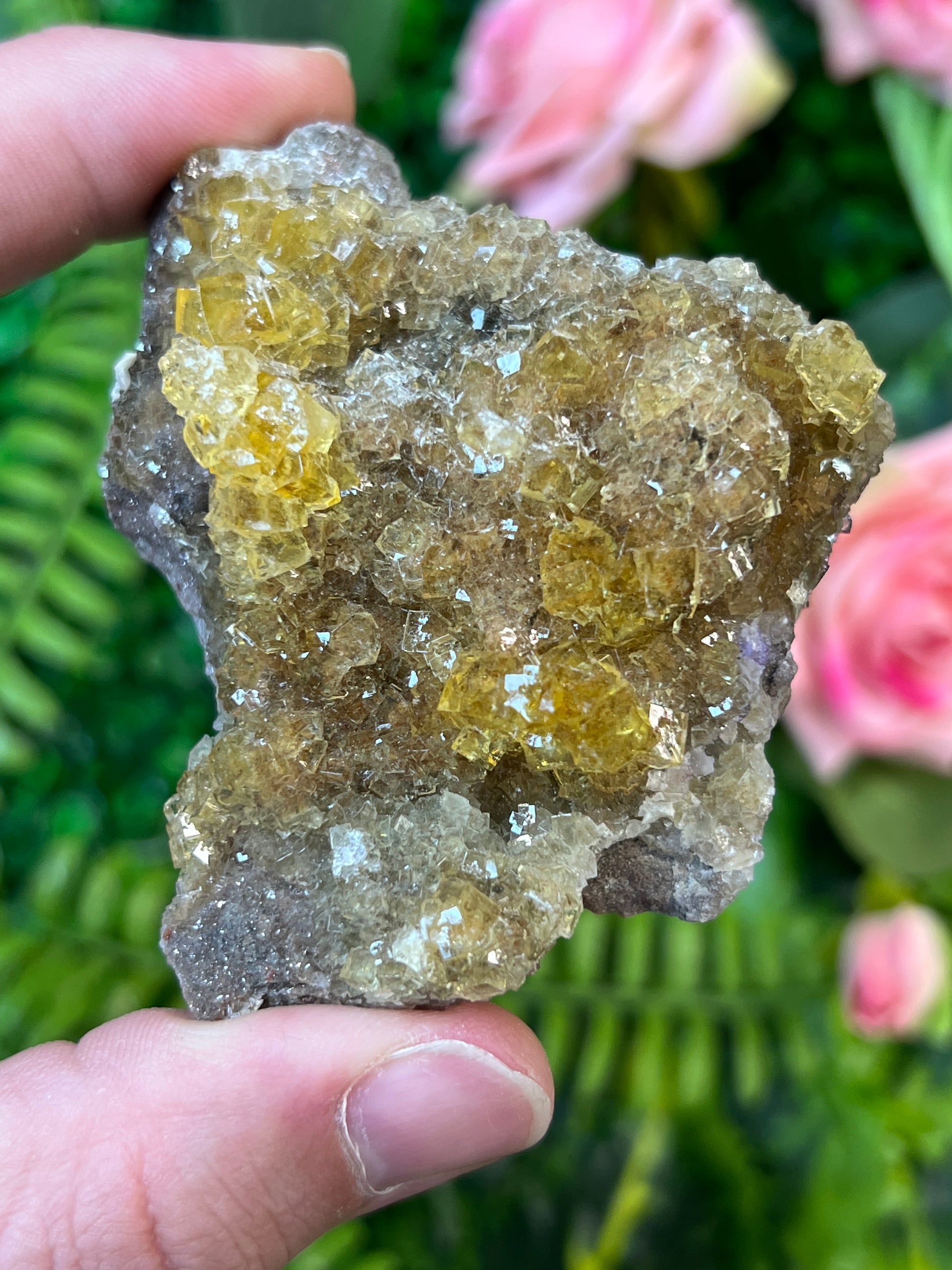 Moscona Fluorite