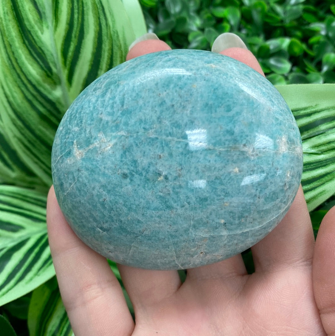 Amazonite Palm