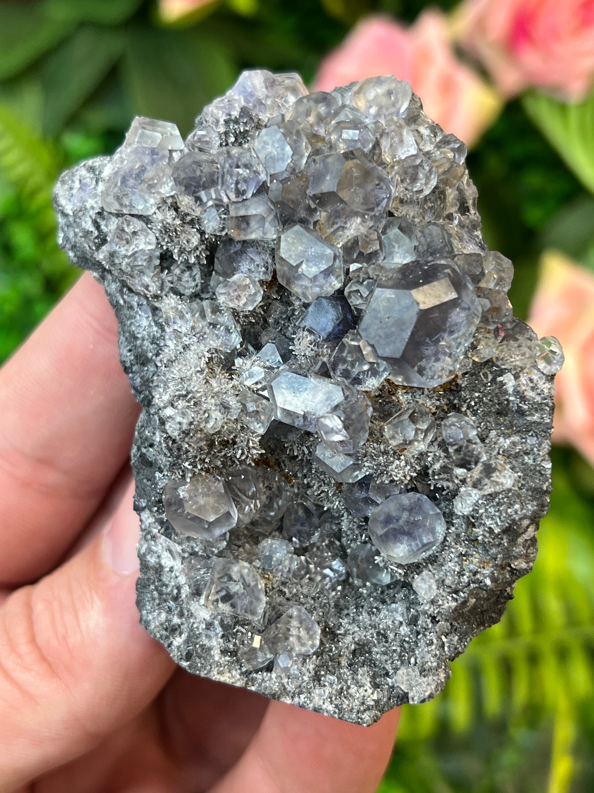 “Tanzanite” Fluorite on Quartz