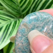 Load image into Gallery viewer, Amazonite Palm
