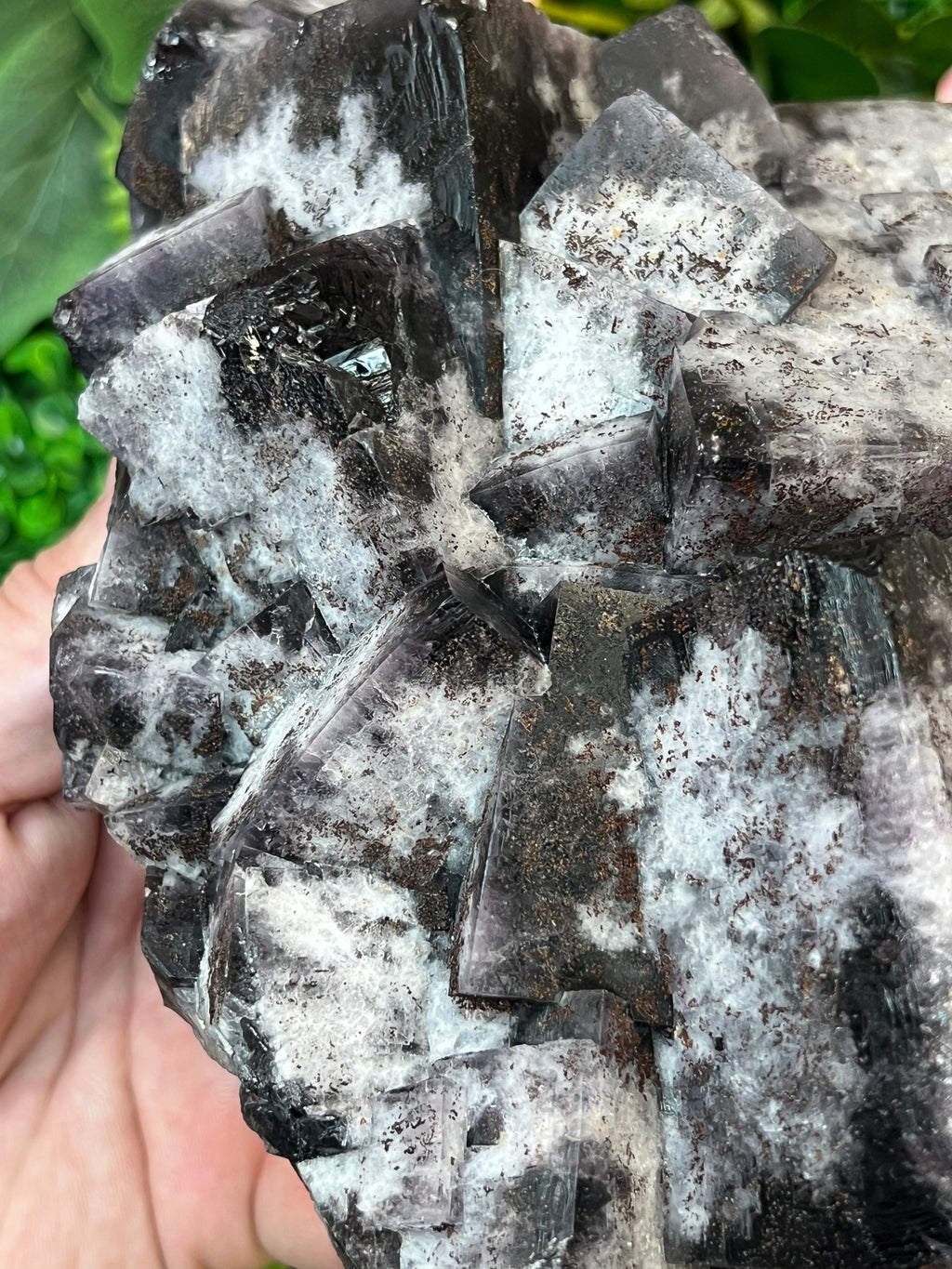 Greenlaws Fluorite