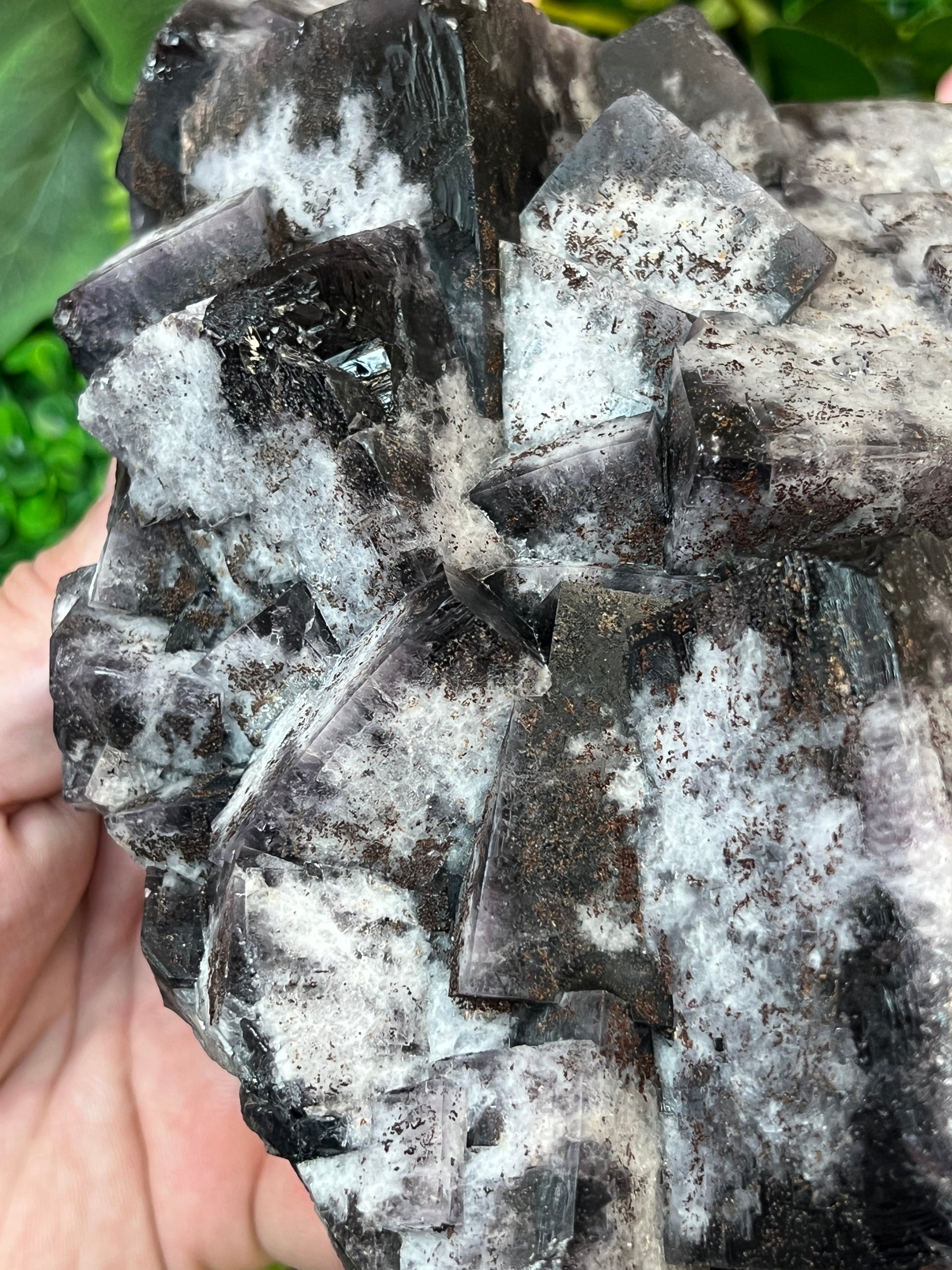 Greenlaws Fluorite