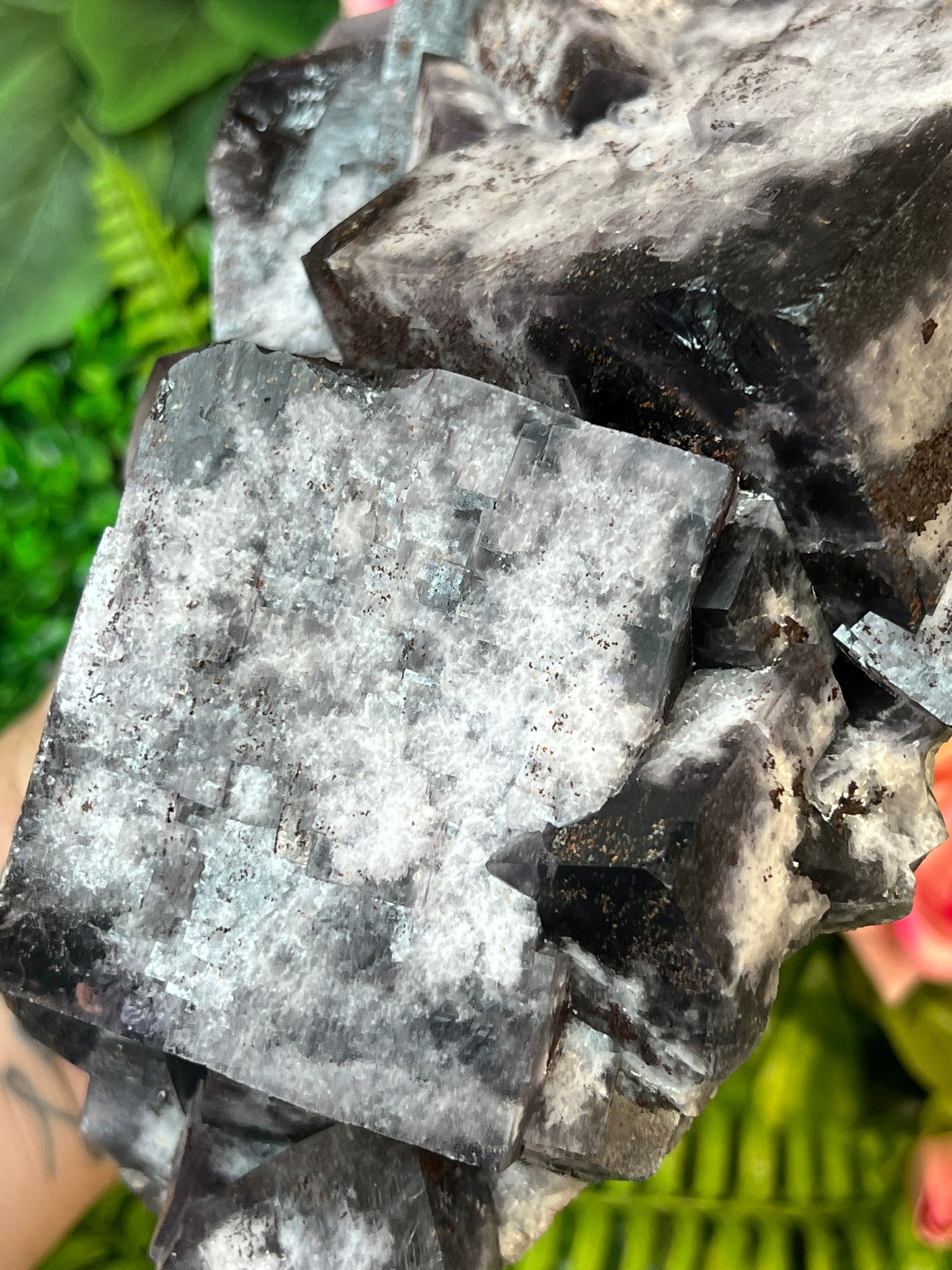 Greenlaws Fluorite