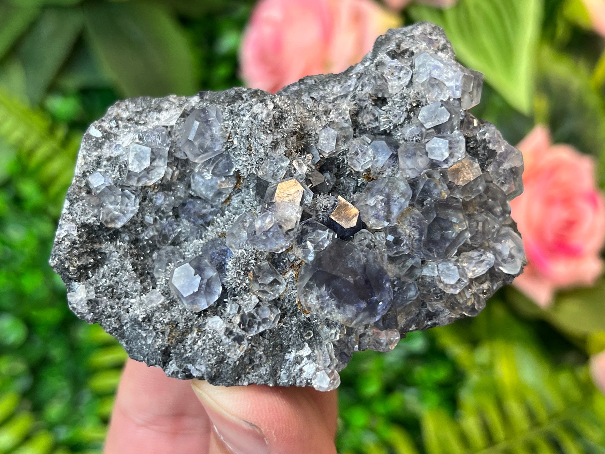 “Tanzanite” Fluorite on Quartz