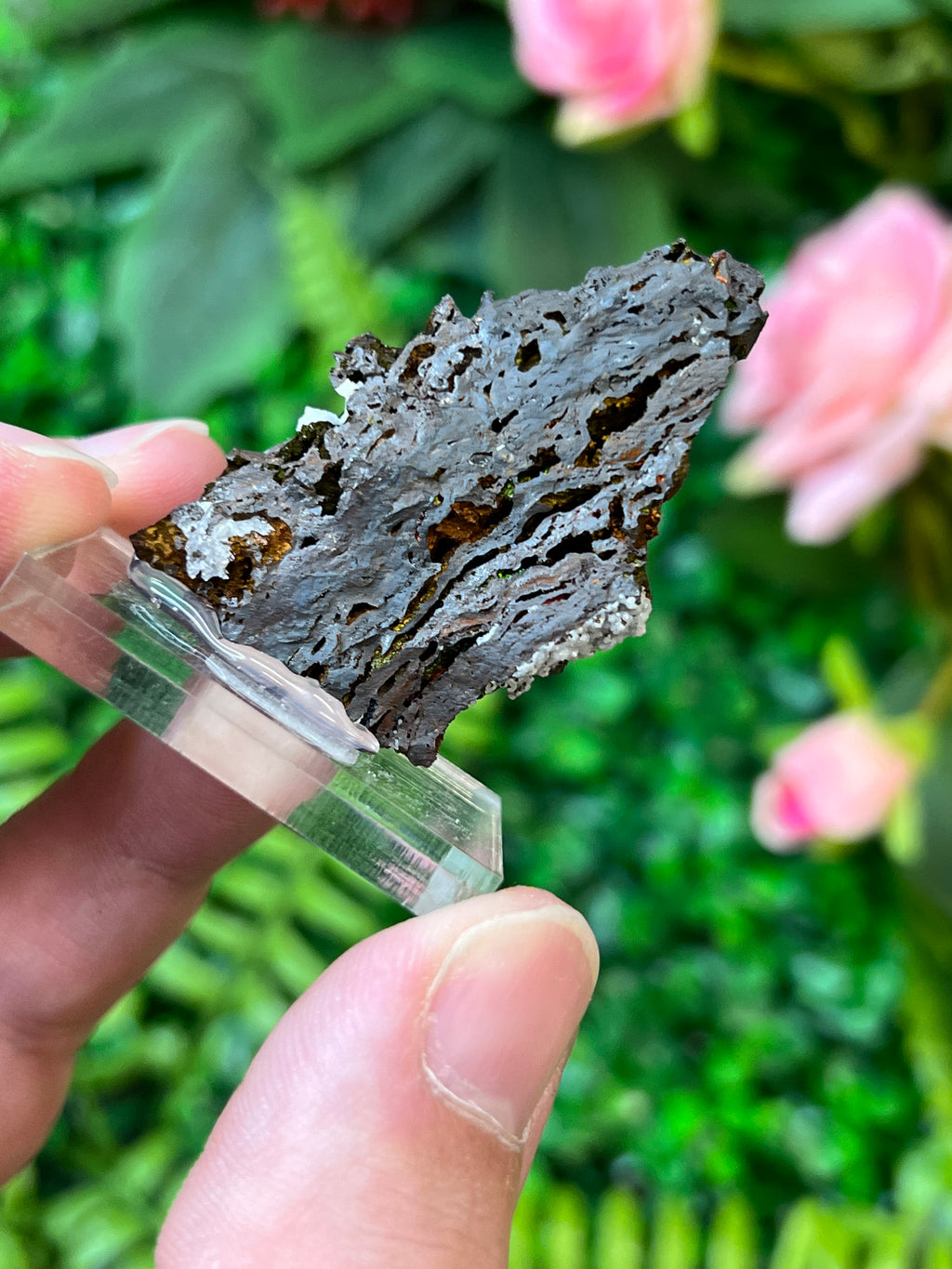 Turgite