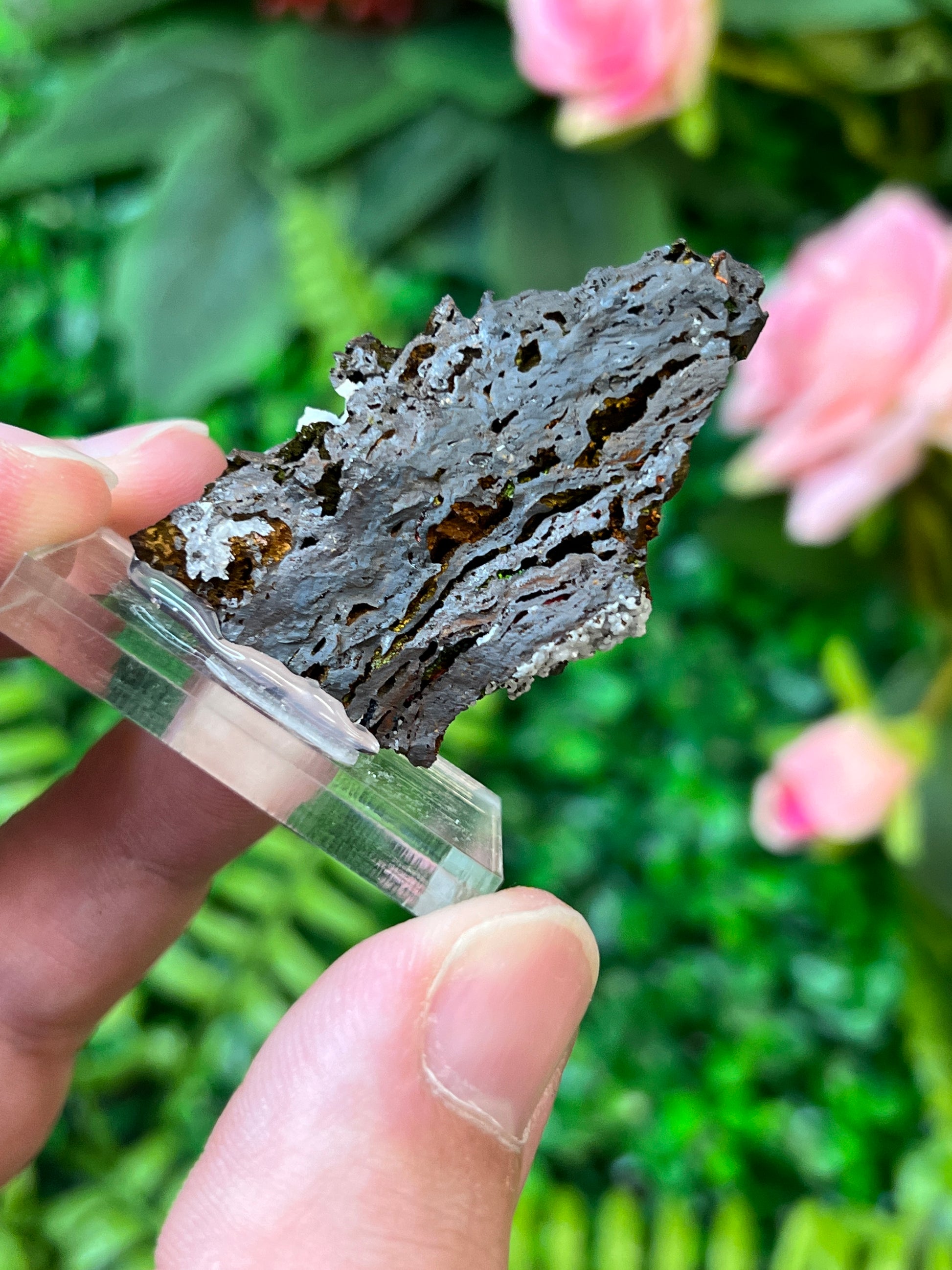 Turgite