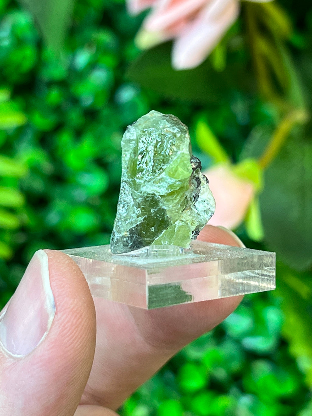 Forsterite var. Peridot