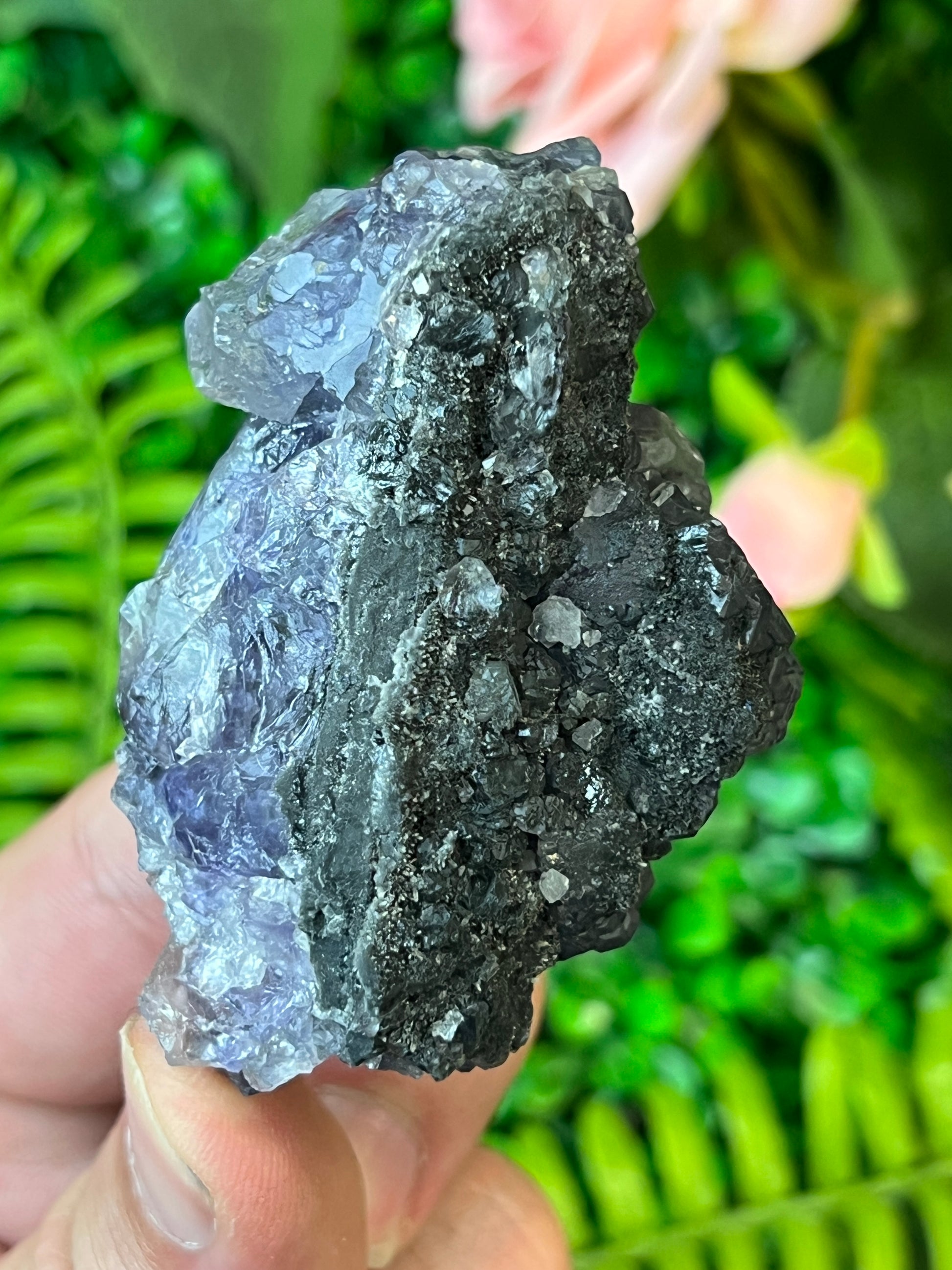 “Tanzanite” Fluorite