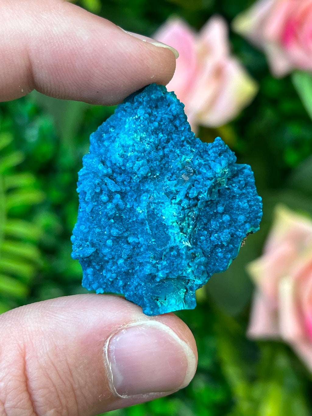 Chrysocolla and Malachite