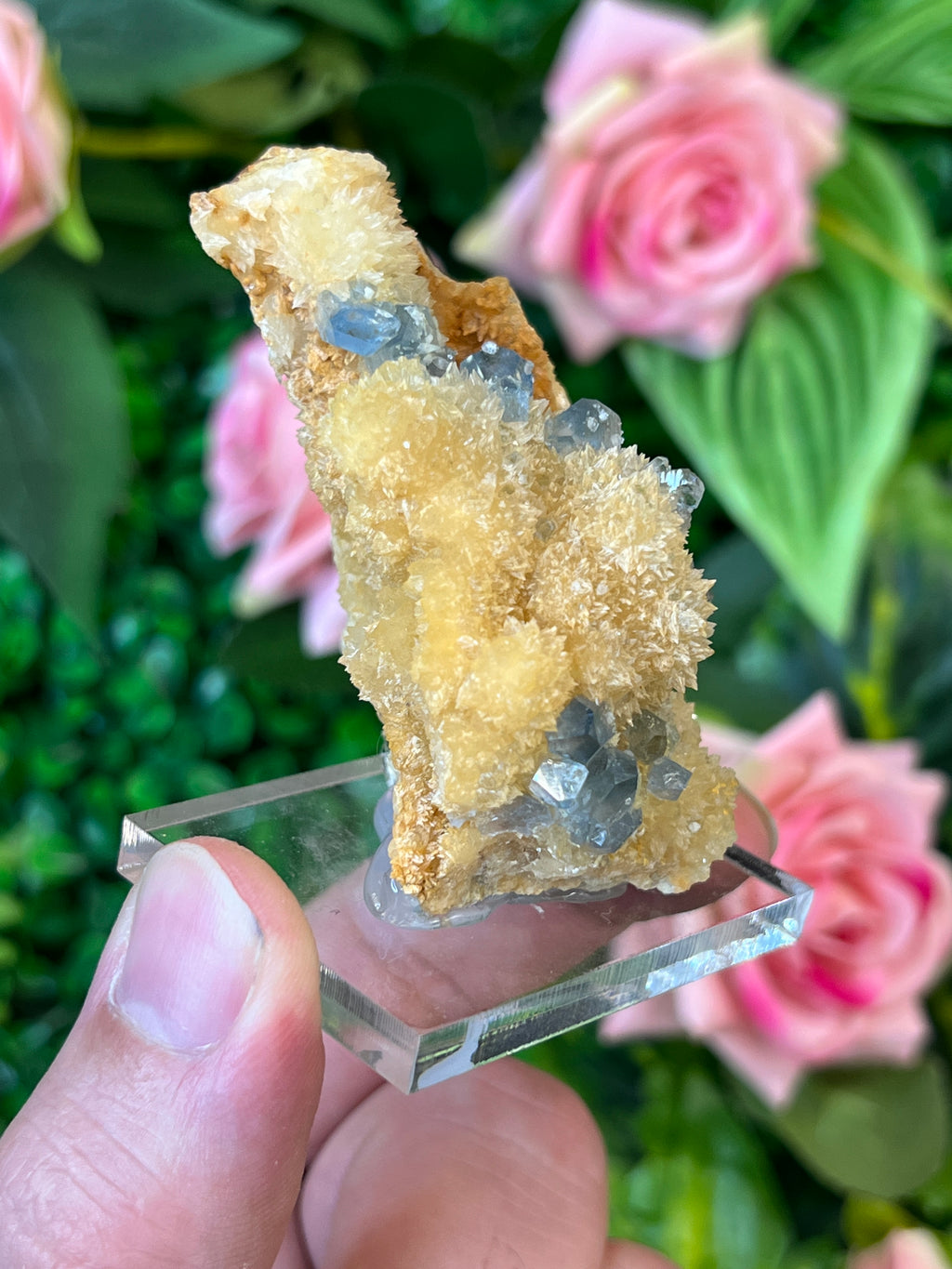 Celestine on Calcite