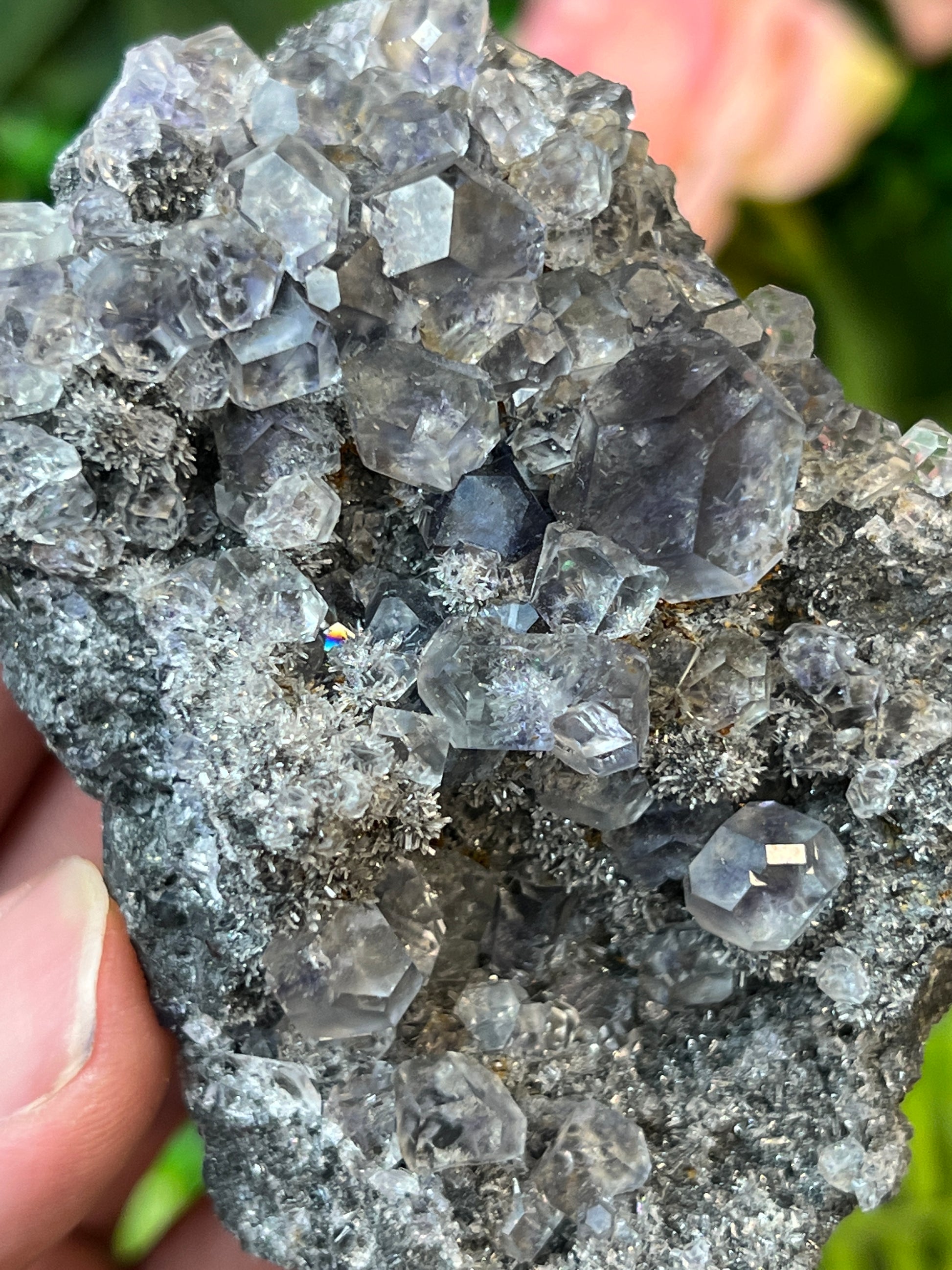 “Tanzanite” Fluorite on Quartz