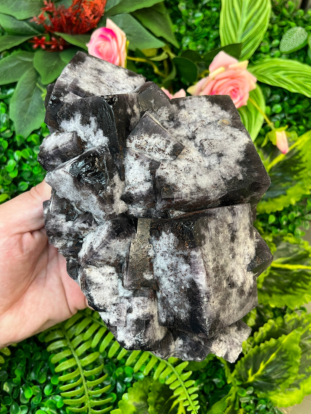 Greenlaws Fluorite