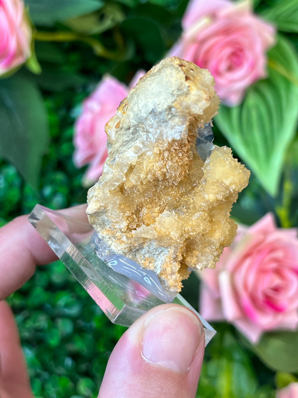 Celestine on Calcite