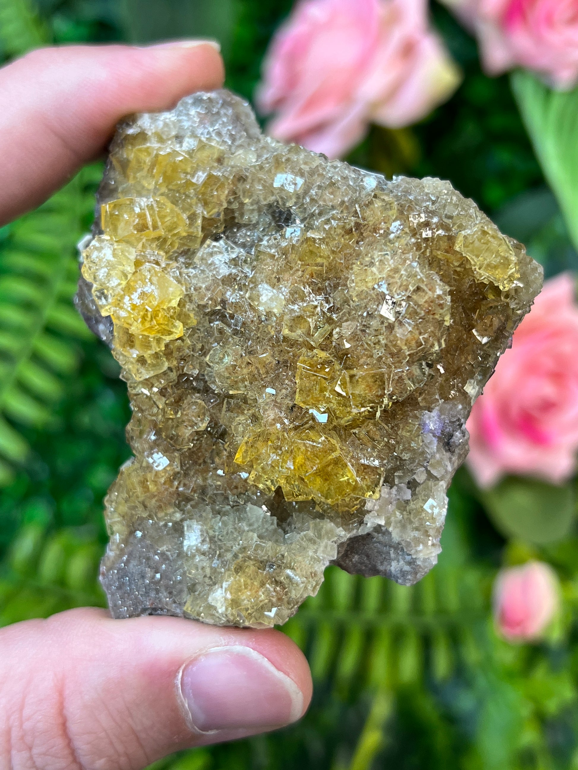 Moscona Fluorite