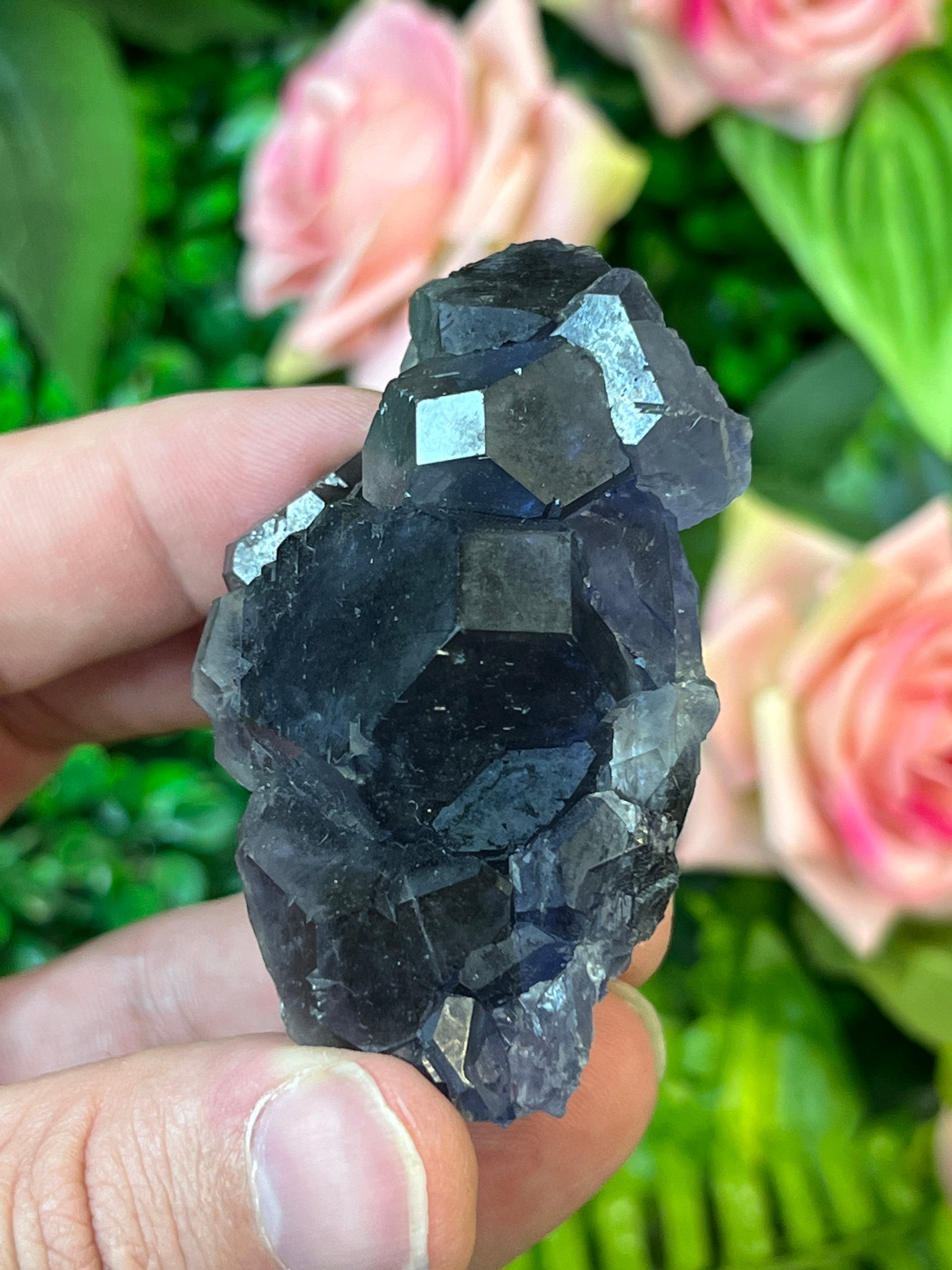 “Tanzanite” Fluorite