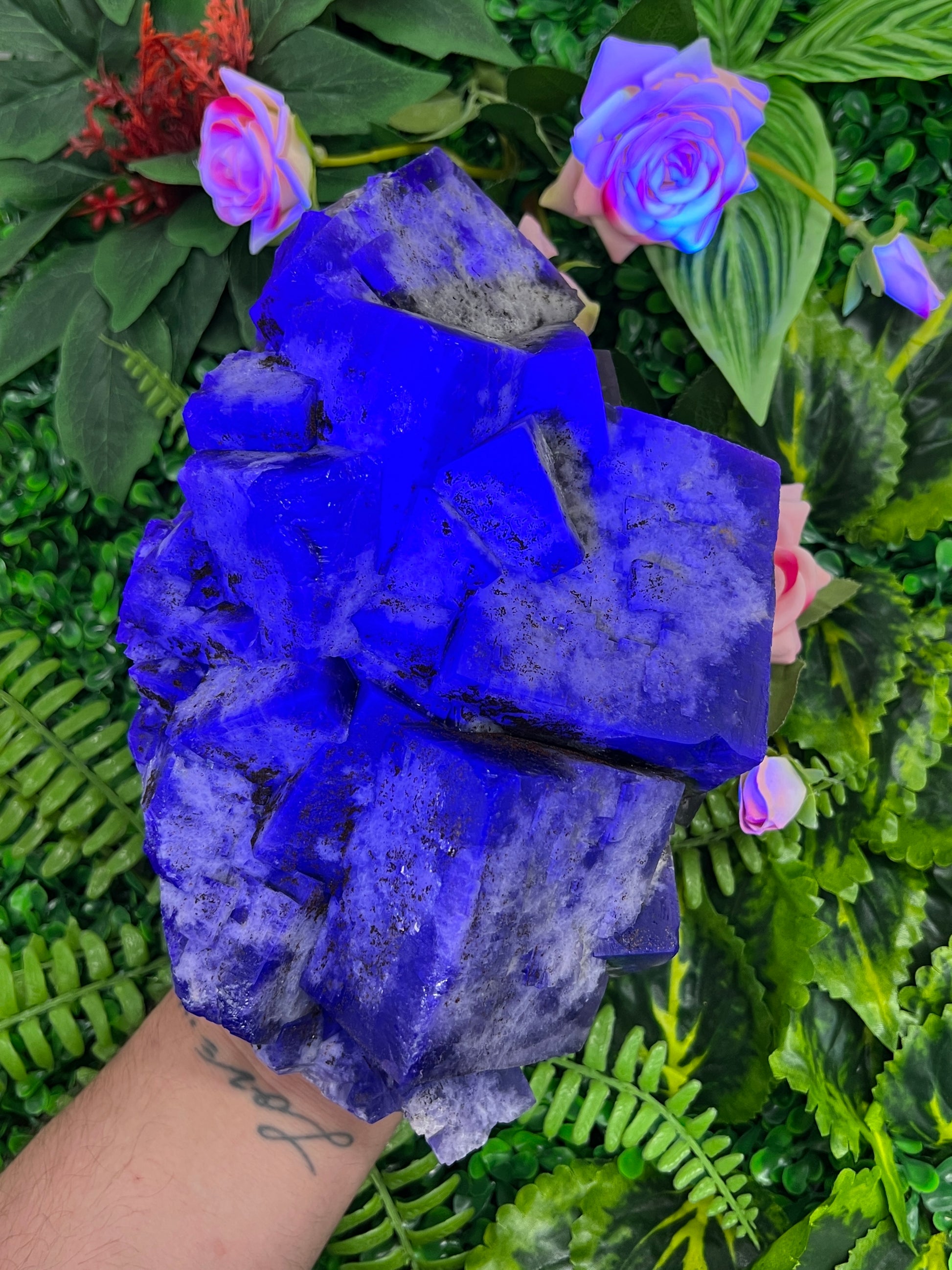 Greenlaws Fluorite
