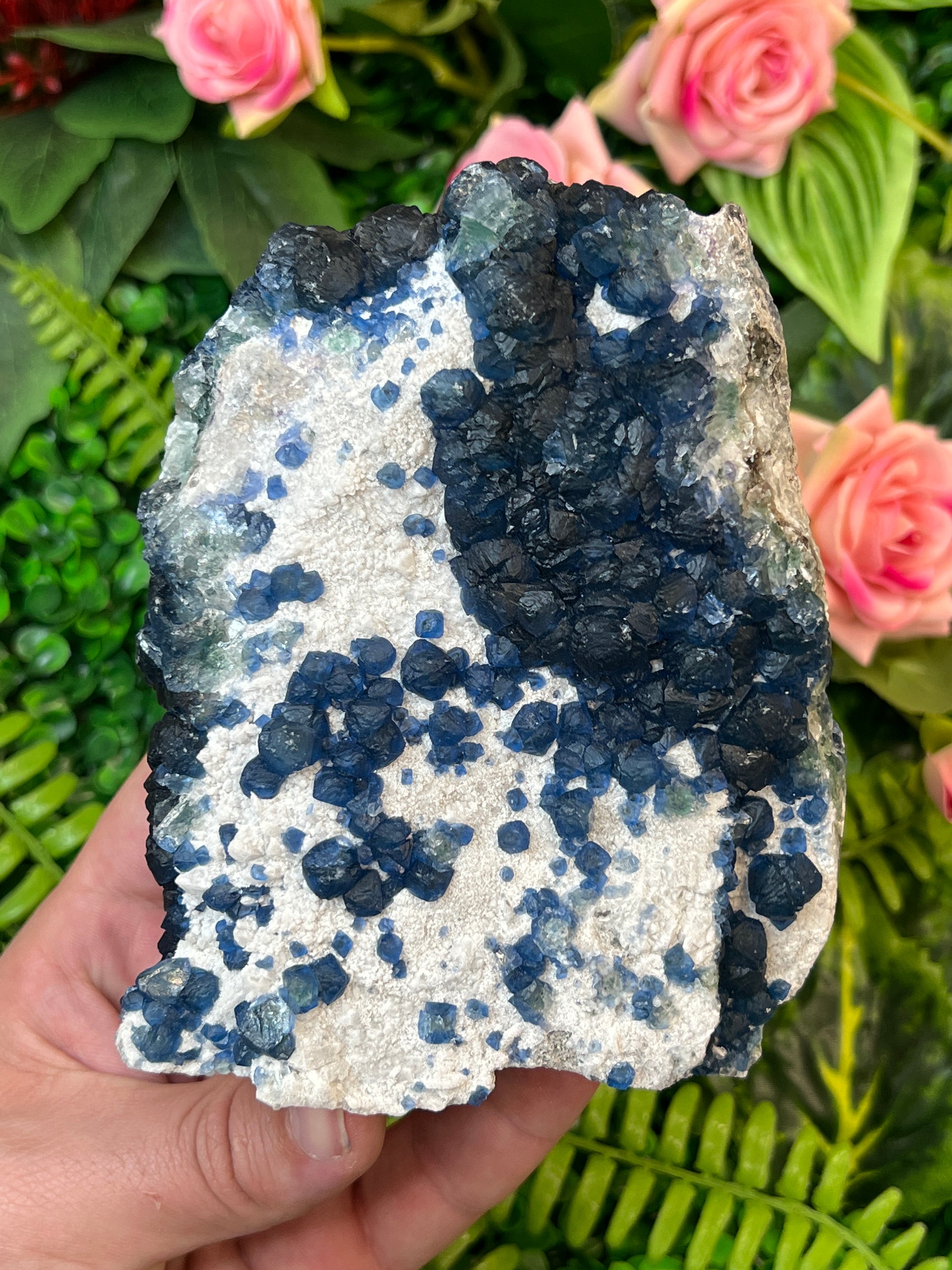 “Blueberry” Fluorite on Quartz