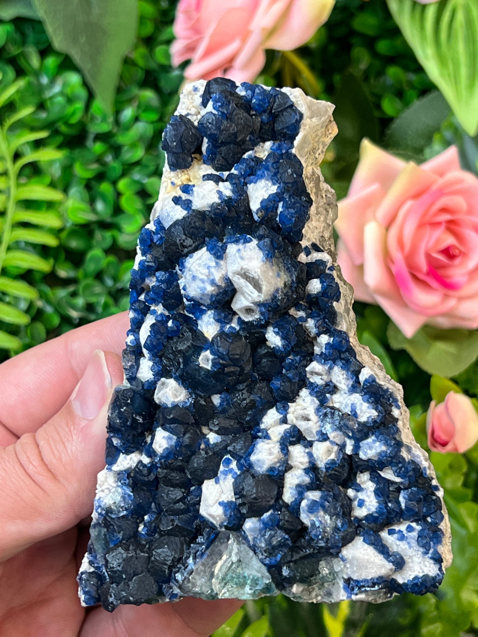 “Blueberry” Fluorite on Quartz