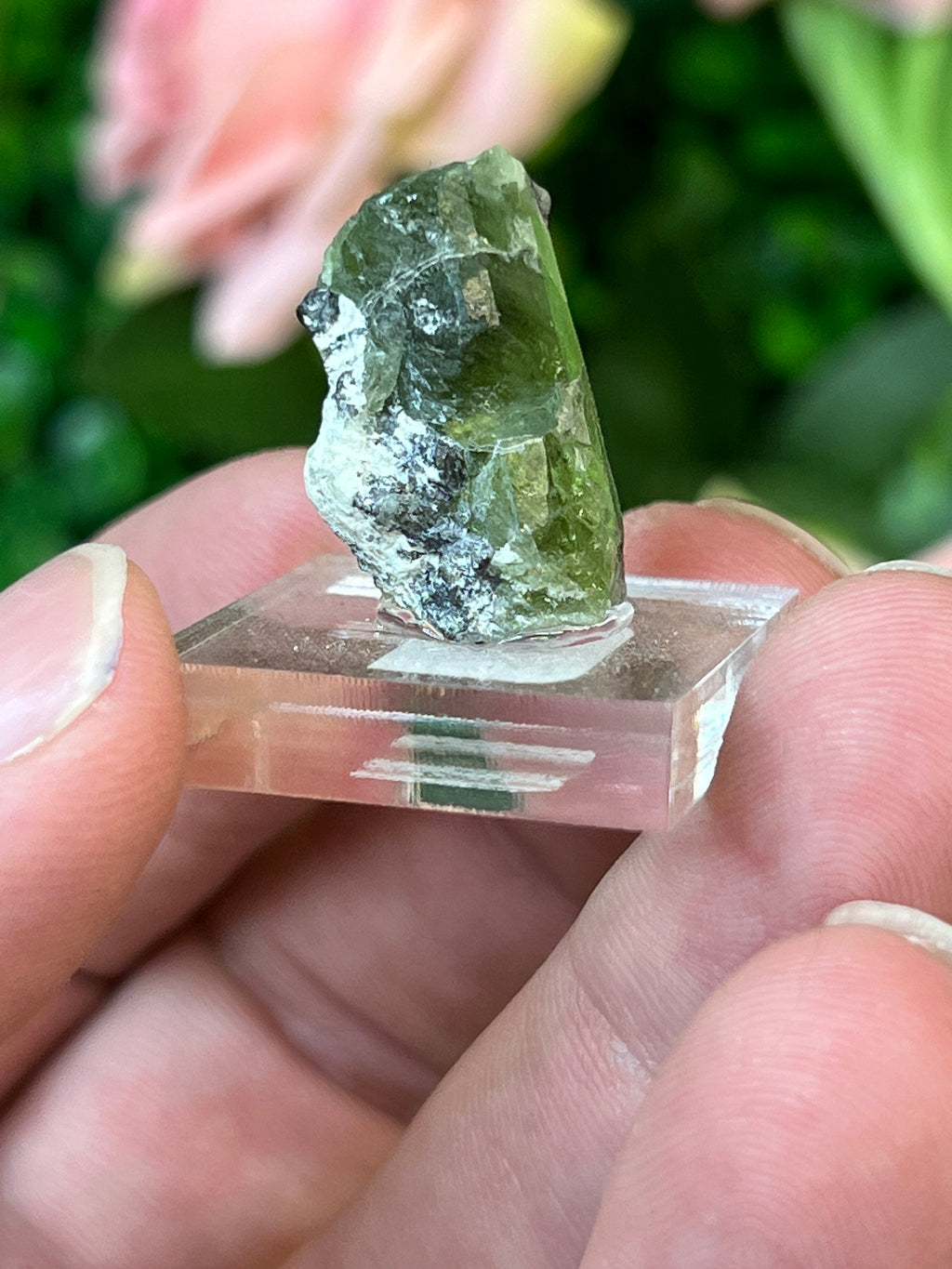 Forsterite var. Peridot